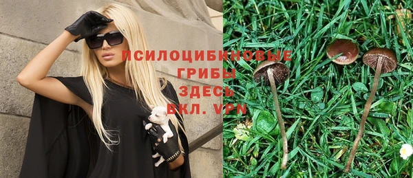 мдпв Алзамай