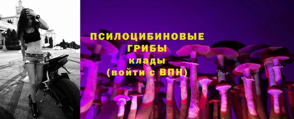 ALPHA PVP Алексин
